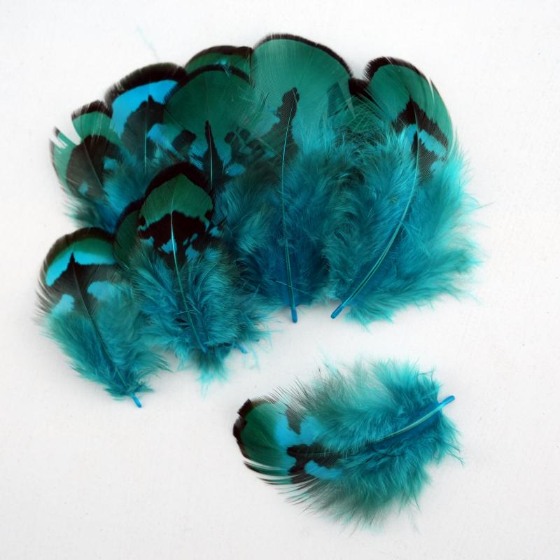 Wedding Supply Bulk - Natürliche DIY Fasanenfedern Seeblau Gefärbt 3-8cm