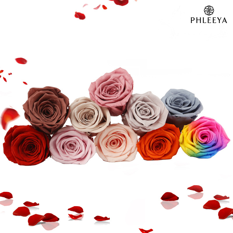 6 Stück ewige Rosenblütenköpfe – Wedding Supply Bulk Bewertung und Preis